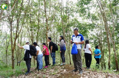environmental ngo in the philippines|Philippine Center for Environmental Protesction and Sustainable .